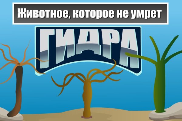 Зеркала сайта кракен kraken 6 onion